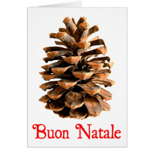 Buon Natale - Jerusalem Pine Cone
