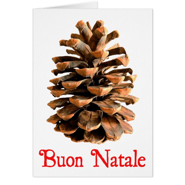 Buon Natale - Jerusalem Pine Cone (Vorne)