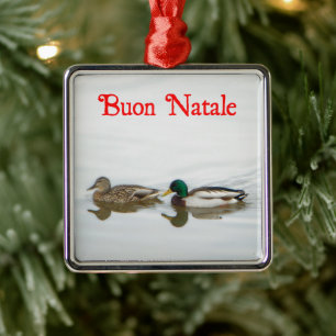 Buon Natale - Mallards Silbernes Ornament