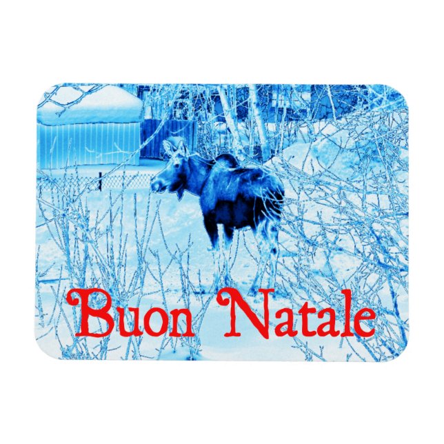 Buon Natale - Urban Moose Magnet (Horizontal)