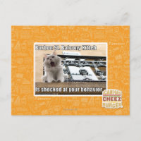 Burbon St. Balcony Kitteh