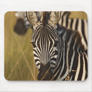 Burchell-Zebra im hohen Sommergras, Masai Mousepad