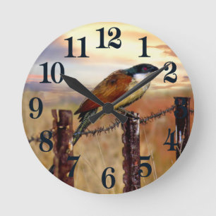 Burchell's Coucal-Kuckuck-Vogel Runde Wanduhr