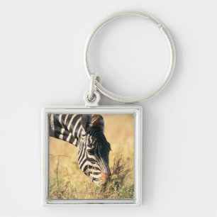 Burchells Zebra 2 Schlüsselanhänger