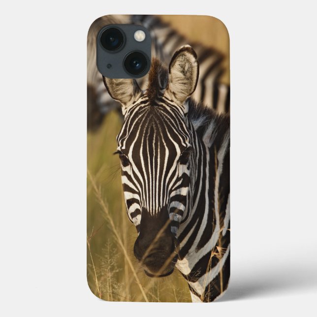 Burchell's Zebra im hohen Sommergras, Masai Case-Mate iPhone Hülle (Rückseite)