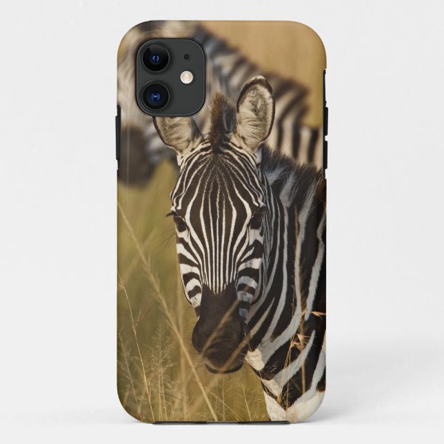 Burchell's Zebra im hohen Sommergras, Masai Case-Mate iPhone Hülle (Rückseite)
