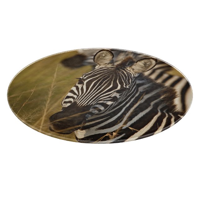 Burchells Zebra im hohen Sommergras, Masai Schneidebrett (Ecke)