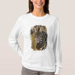 Burchells Zebra im hohen Sommergras, Masai T-Shirt
