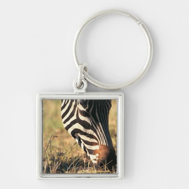 Burchells Zebra Schlüsselanhänger (Vorne)