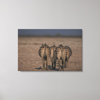 Burchell's Zebras Walking Leinwanddruck