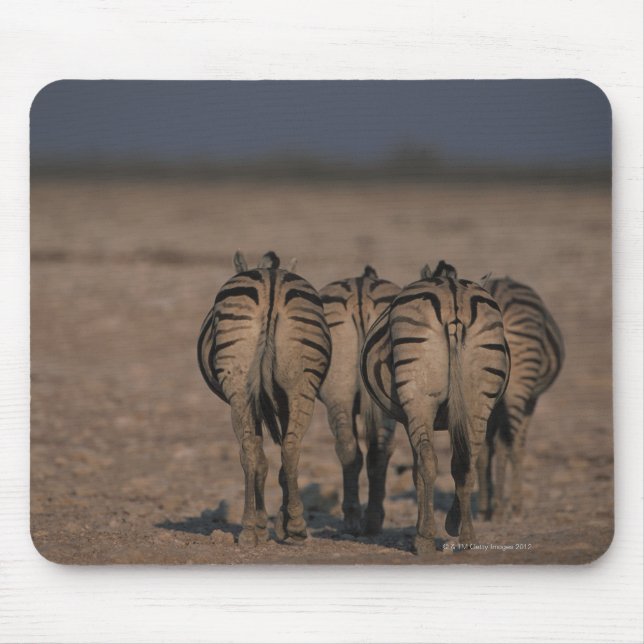 Burchell's Zebras Walking Mousepad (Vorne)