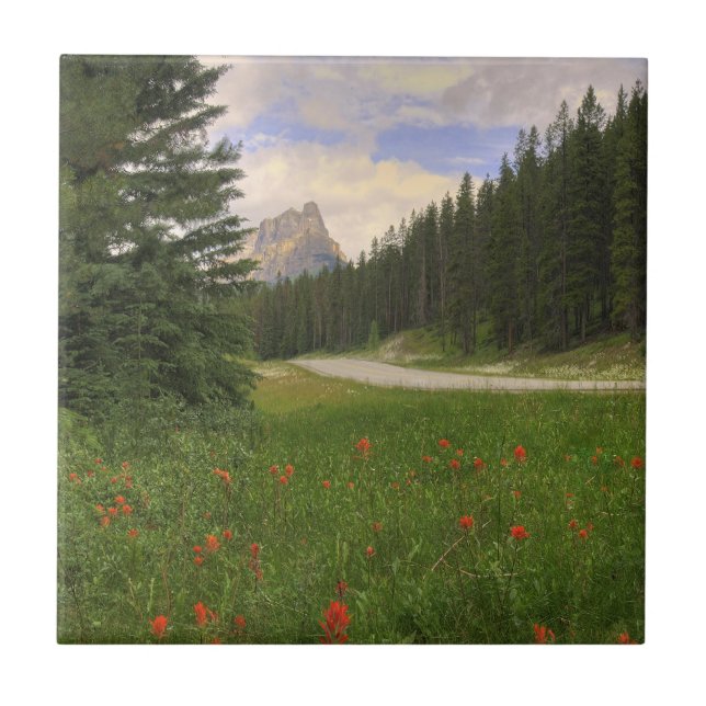 Burg Banff Fliese (Vorderseite)