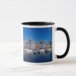 Burg Caernarfon, Gwynedd, Wales Tasse