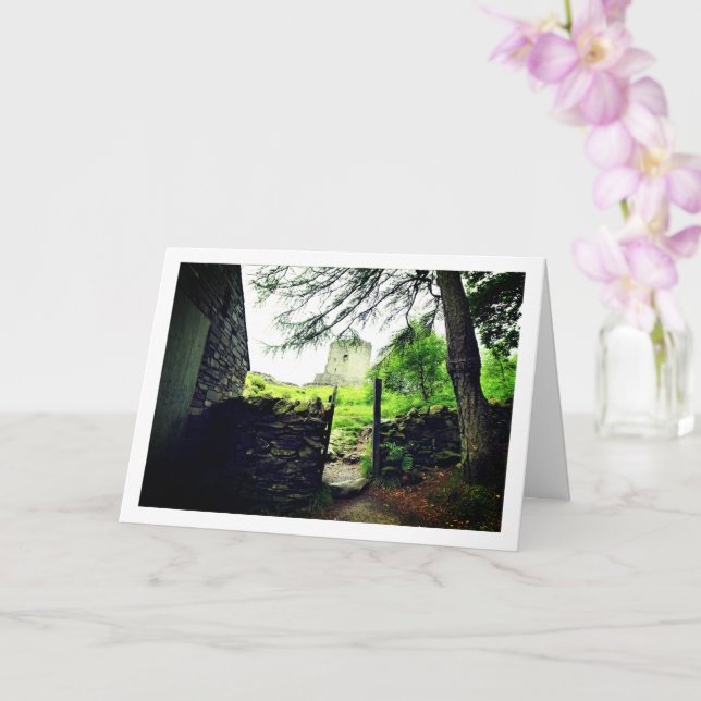 Burg Dolbadarn, Nordwales Karte (Orchidee)