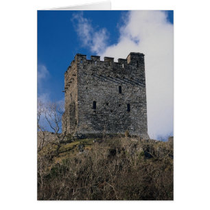 Burg Dolwyddelan, erbaut 1200 von Llewellyn ab lor