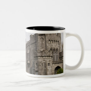 Burg Kilkenny, County Kilkenny, Irland. Zweifarbige Tasse