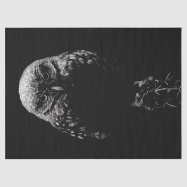 "Burgschale" Seidenpapier (Vorderseite)