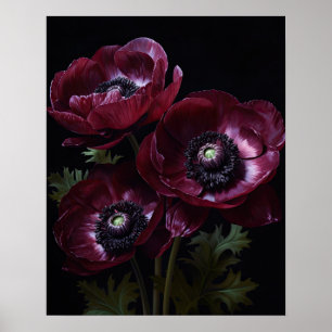 Burgund Anemone Blume Art Print Poster