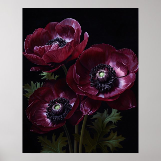 Burgund Anemone Blume Art Print Poster (Vorne)