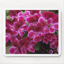 Burgund Geranium
