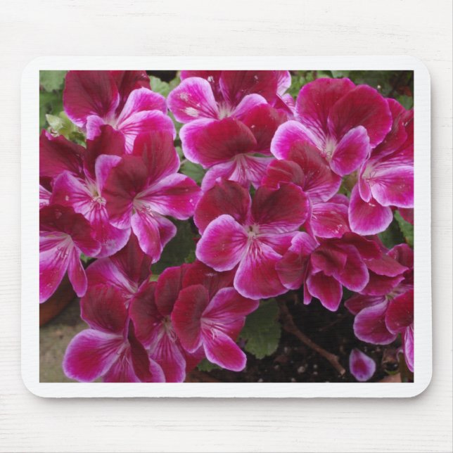 Burgund Geranium Mousepad (Vorne)