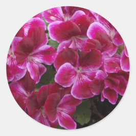Burgund Geranium Runder Aufkleber