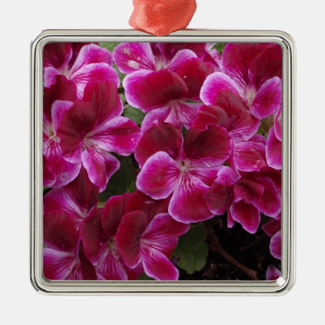Burgund Geranium Silbernes Ornament (Vorne)