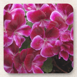 Burgund Geranium Untersetzer