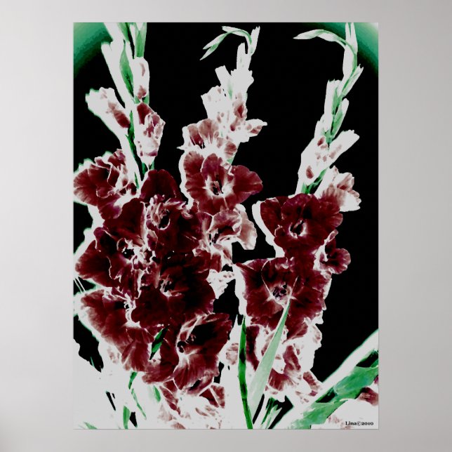 Burgund Gladiolas von Lina Poster (Vorne)