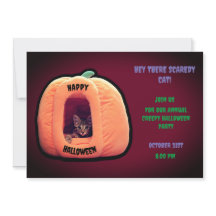 Burgund und Orange Pumpkin Spooky Kitten