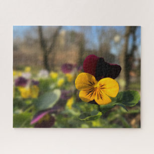 Burgundgelbe Panik Puzzle