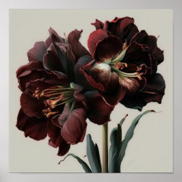 Burgundy Amaryllis Blume Art Print Poster