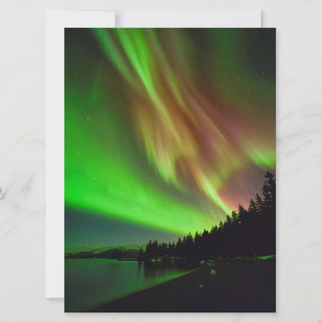 Burgundy Aurora (Vorderseite)