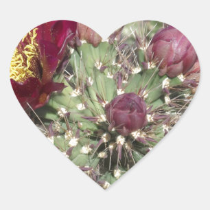 Burgundy Cactus Blume Herz-Aufkleber