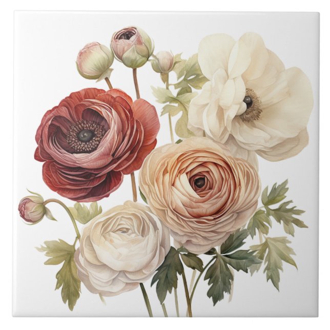 Burgundy Cream Ranunculus Blume Fliese (Vorderseite)