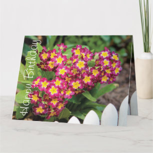 Burgundy Garden Flower Karte