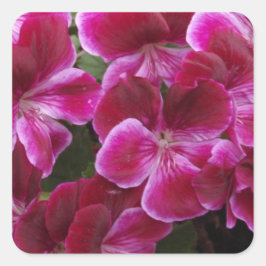 Burgundy Geranium Quadratischer Aufkleber