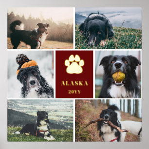 Burgundy Golden Paw Print 6 Fotocollage Hund Foliendrucke