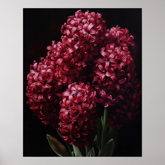 Burgundy Hyacinth Blume Art Print Poster (Vorne)