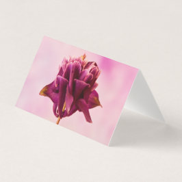 Burgundy Pink Columbine Card