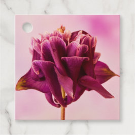 Burgundy Pink Columbine Geschenkanhänger