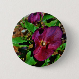 Burgundy Pink Lenten Rose Button