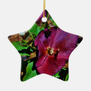 Burgundy Pink Lenten Rose Keramik Ornament