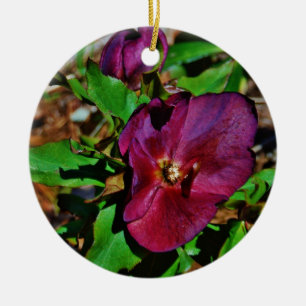 Burgundy Pink Lenten Rose Keramik Ornament