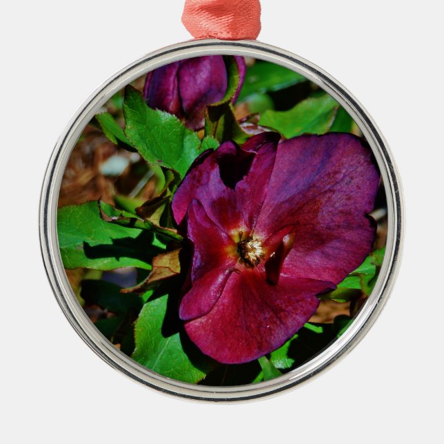 Burgundy Pink Lenten Rose Ornament Aus Metall (Vorne)
