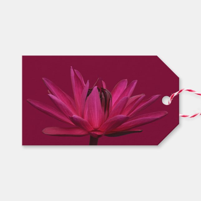 Burgundy Pink Water Lily Geschenketiketten Geschenkanhänger (Vorderseite (Horizontal))
