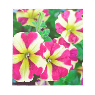 Burgundy Star Petunias Notizblock
