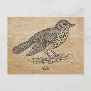 Burlap Rustic Hello Little bird Postkarte