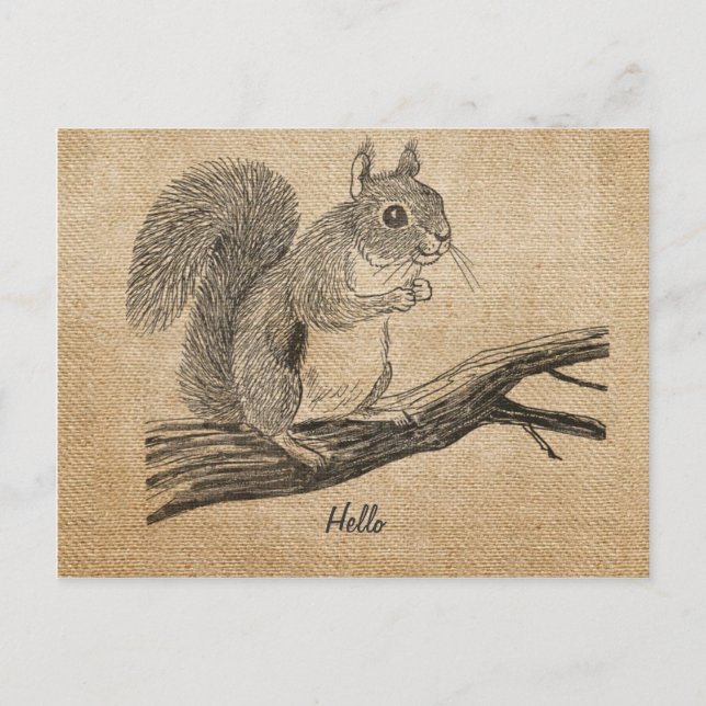 Burlap Vintag Eichhörnchen Postkarte (Vorderseite)