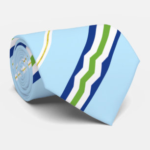 Burlington (Vermont) Stadtflagge Neck Tie Krawatte